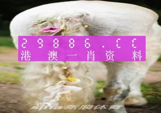 第1509页