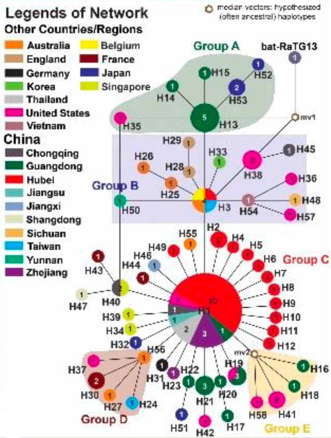 病毒分布最新研究及洞察