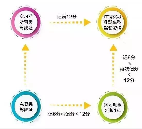 驾照分最新动态，变化与影响