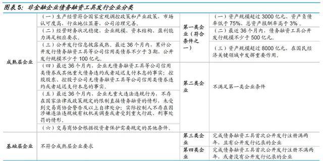 最新债申购，理解其过程、优势与风险