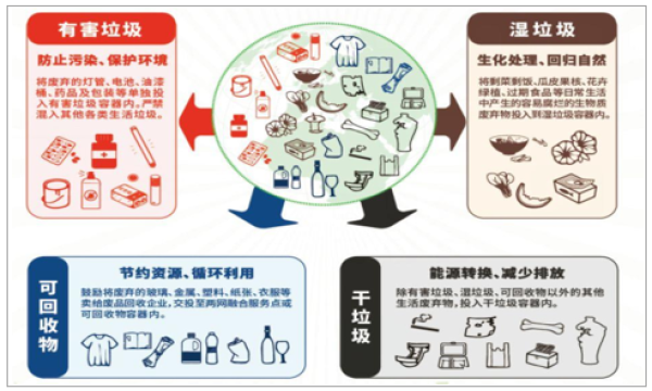 最新垃圾币，揭示、预警与应对