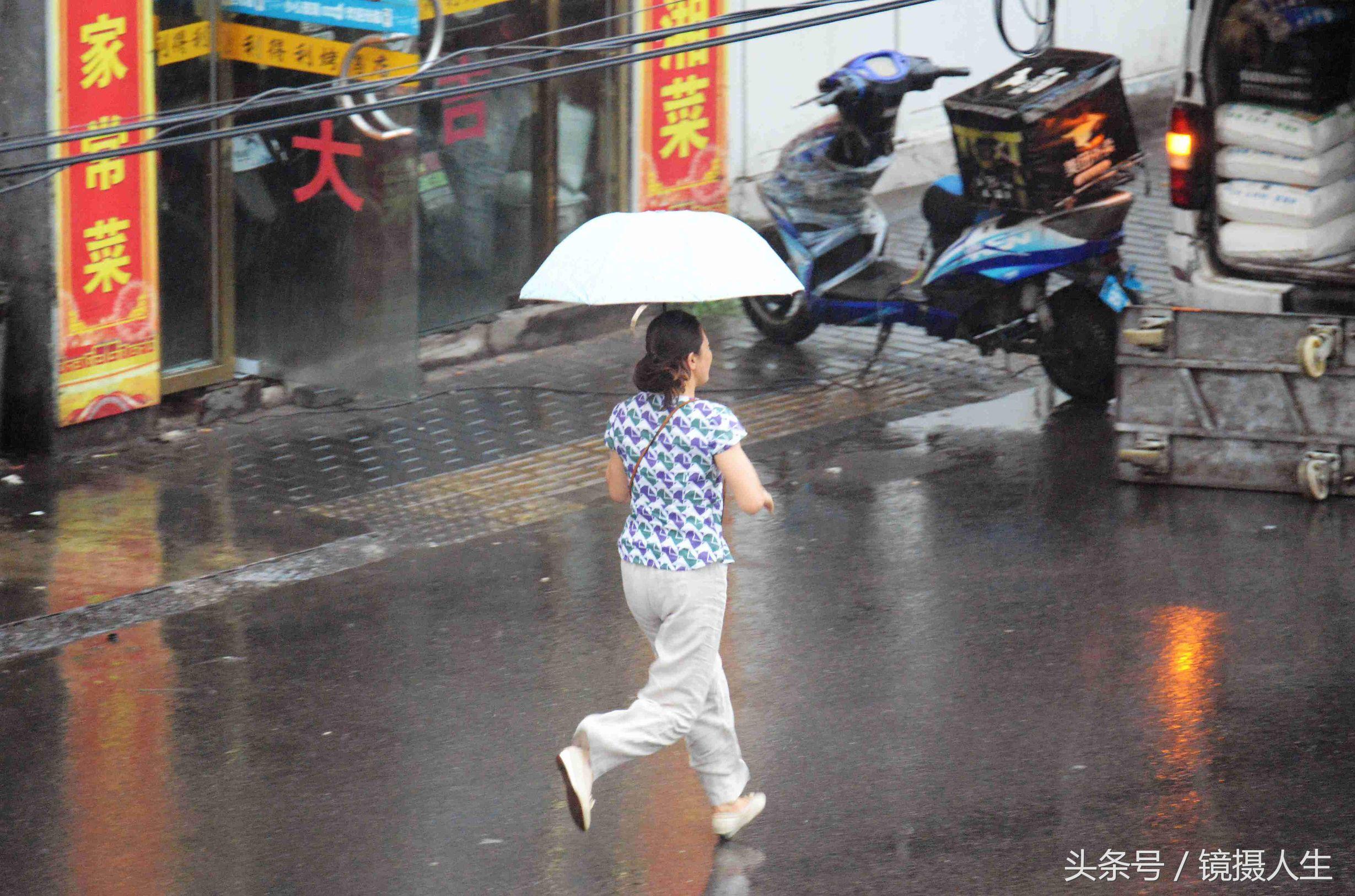 清晨的小雨与最新生活色彩