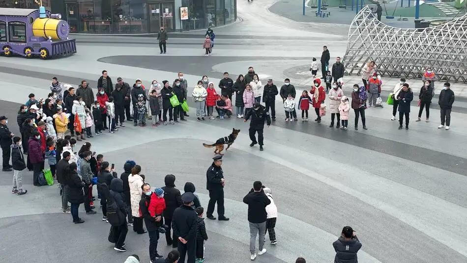 警犬安然，守护安全与和平的最新篇章