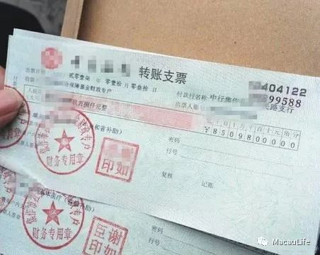 计票最新结果揭示的多元社会面貌