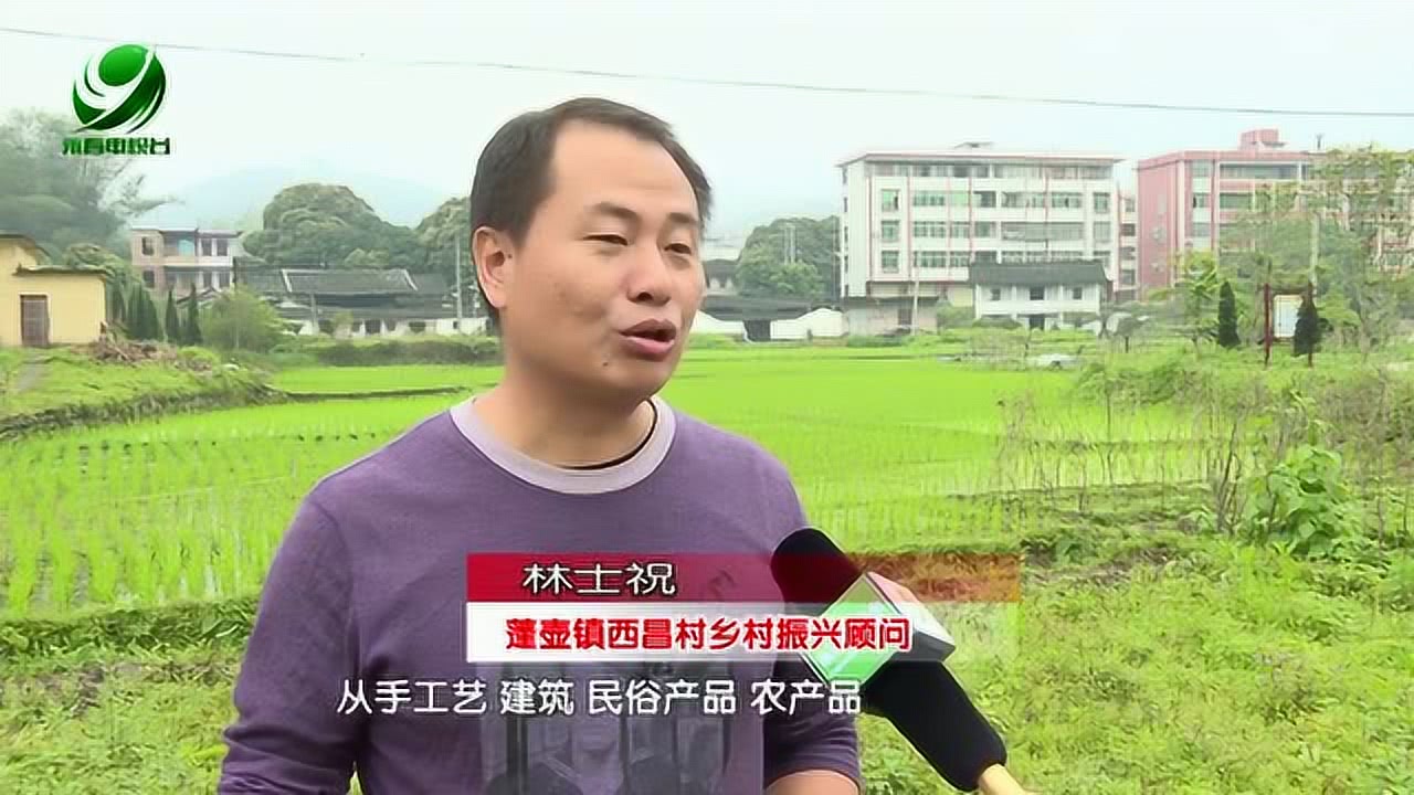 控虾村最新动态，传统与现代交融的乡村新面貌