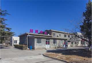 河北锅炉脱硝系统原理